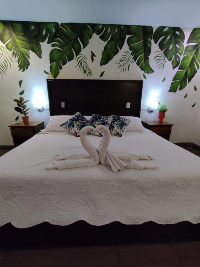Hotel Cafenaranja Xilitla Εξωτερικό φωτογραφία