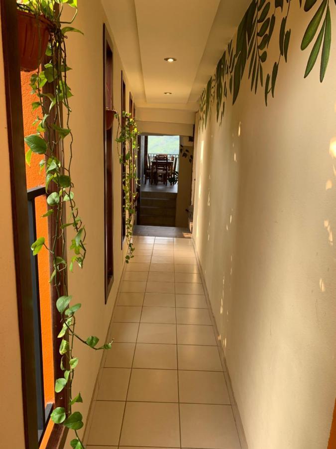 Hotel Cafenaranja Xilitla Εξωτερικό φωτογραφία