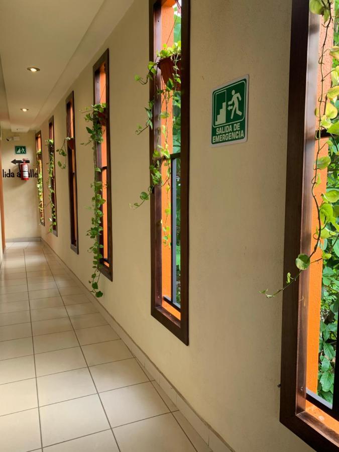 Hotel Cafenaranja Xilitla Εξωτερικό φωτογραφία